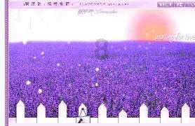 幻想乡空斗祭