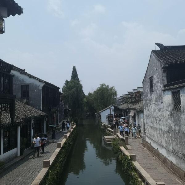 奔跑的兔子